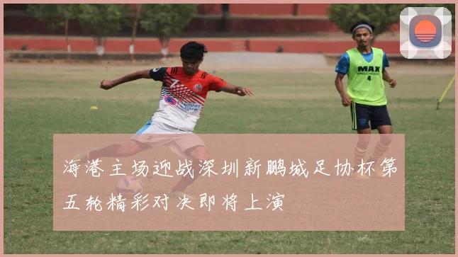 海港主场迎战深圳新鹏城足协杯第五轮精彩对决即将上演