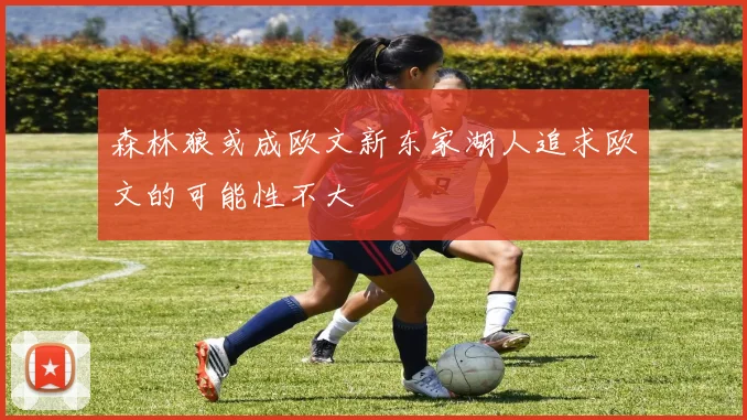 森林狼或成欧文新东家湖人追求欧文的可能性不大